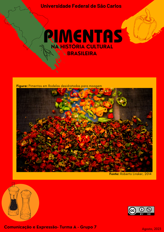 2023.1 - CS010 - Pimentas.png