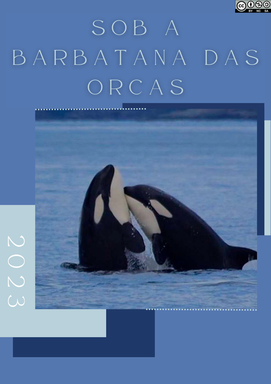 2023.1 - MA001 - Orcas (capa).png