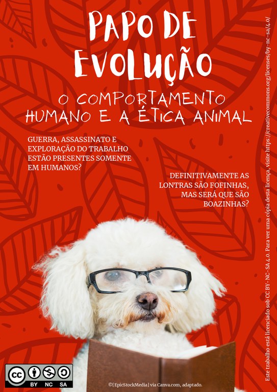 Papo de evolução