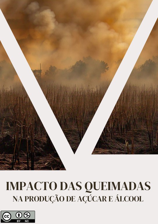 Impacto das Queimada